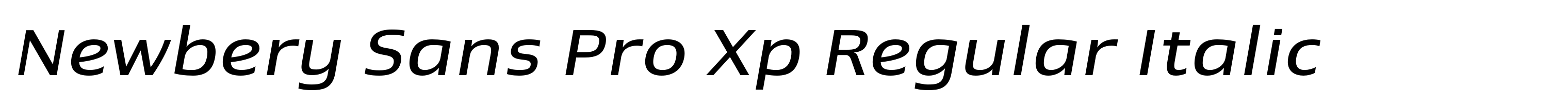 Newbery Sans Pro Xp Regular Italic